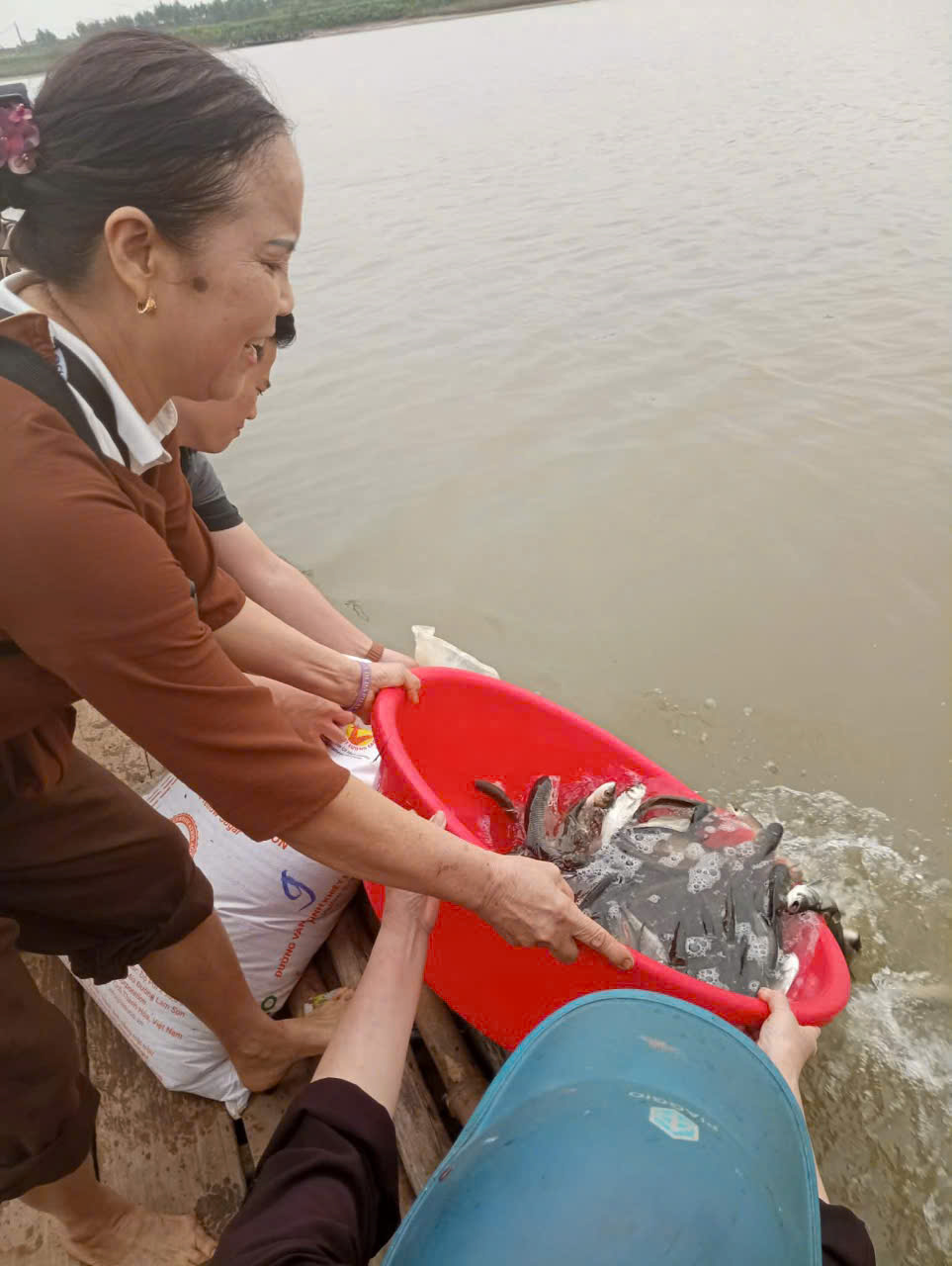 z7742912957438 edc0de33779cfc912fc0f0771137630d