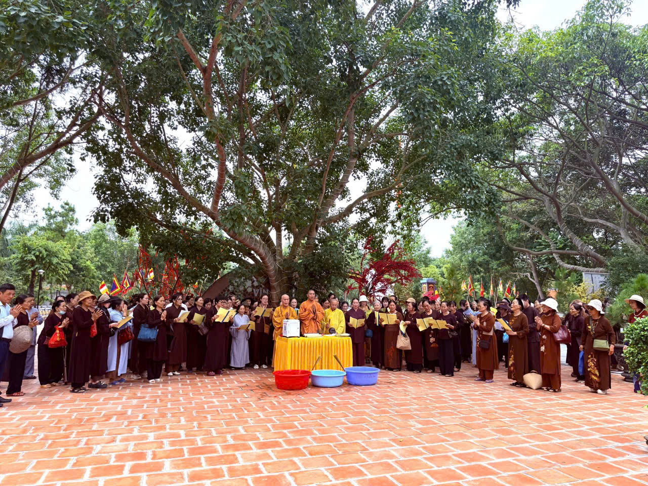 PHẬT PHÁP GIỮA THẾ GIAN – GIEO HẠT GIỐNG GIÁC NGỘ, LAN TỎA YÊU THƯƠNG🙏 1784969894435 5652893007387524251 g2003751818471085094 4d230af8da36a4dd6caed9e2b76cc11c